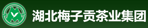 全自動金銀花殺青烘干生產線在梅子貢正式投產